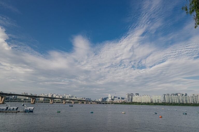 [Seoul] Yeouido Hangang Park (여의도한강공원)