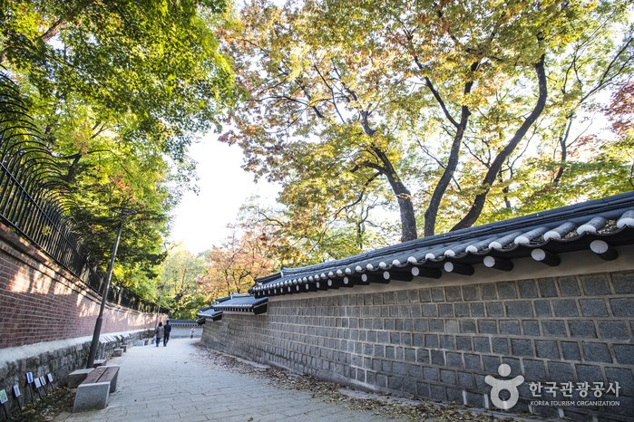[Seoul] Deoksugung Stone Wall Path (덕수궁 돌담길)