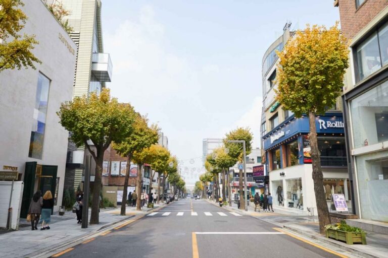 [Seoul] Sinsa-dong Garosu-gil Road (신사동 가로수길)