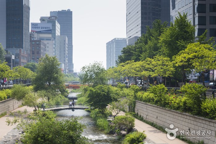 [Seoul] Cheonggyecheon Stream (청계천)