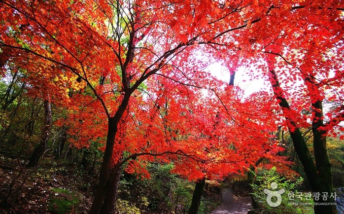 [Seoul] Gwanaksan Mountain (관악산)