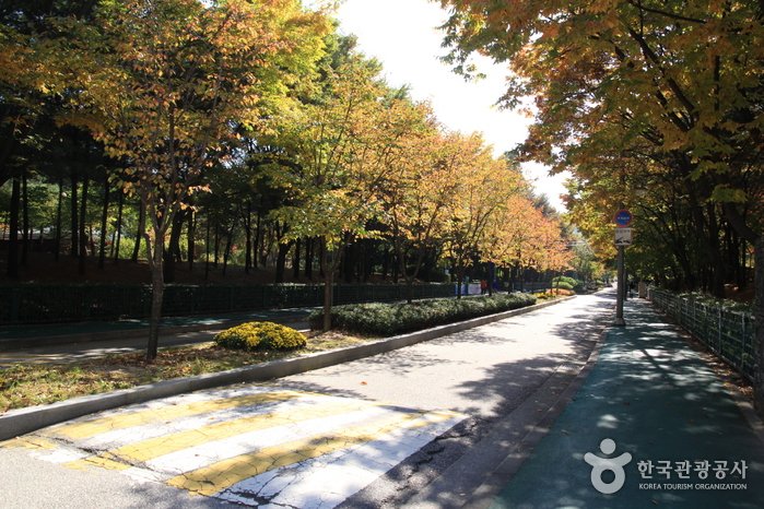 [Seoul] Bonghwasan Mountain – Seoul (봉화산 (서울))
