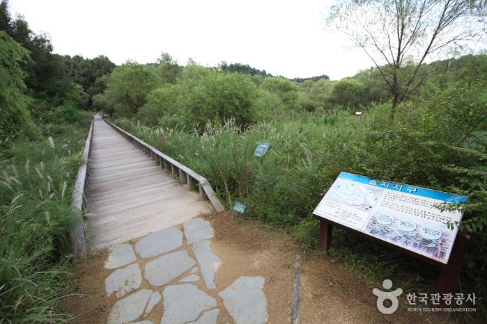 [Seoul] Gildong Ecological Park (길동생태공원)