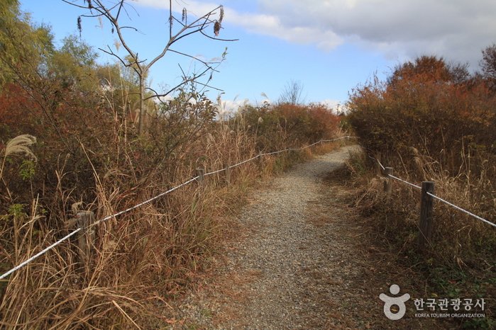 [Seoul] Godeok-dong Ecological Landscape Conservation Area (고덕동 생태경관 보전지역)