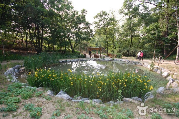 [Seoul] Gwanaksan Ecological Park (관악산 생태공원)