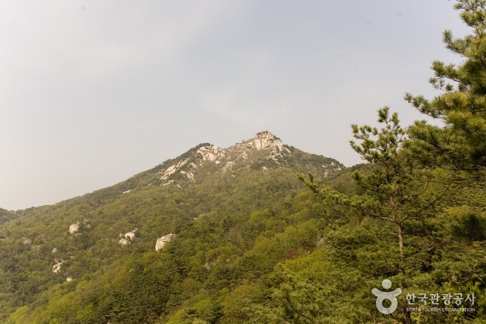 [Seoul] Buramsan Mountain (불암산)
