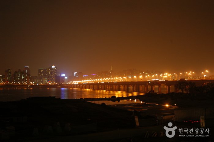 [Seoul] Mapodaegyo Bridge (마포대교 야경)