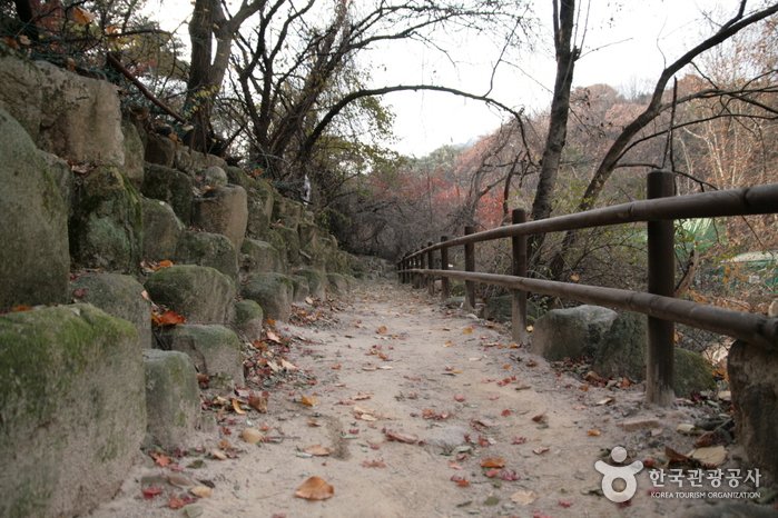 [Seoul] Bukhansan Dulle Trail Section 1 ([북한산 둘레길] 1 소나무숲길 )