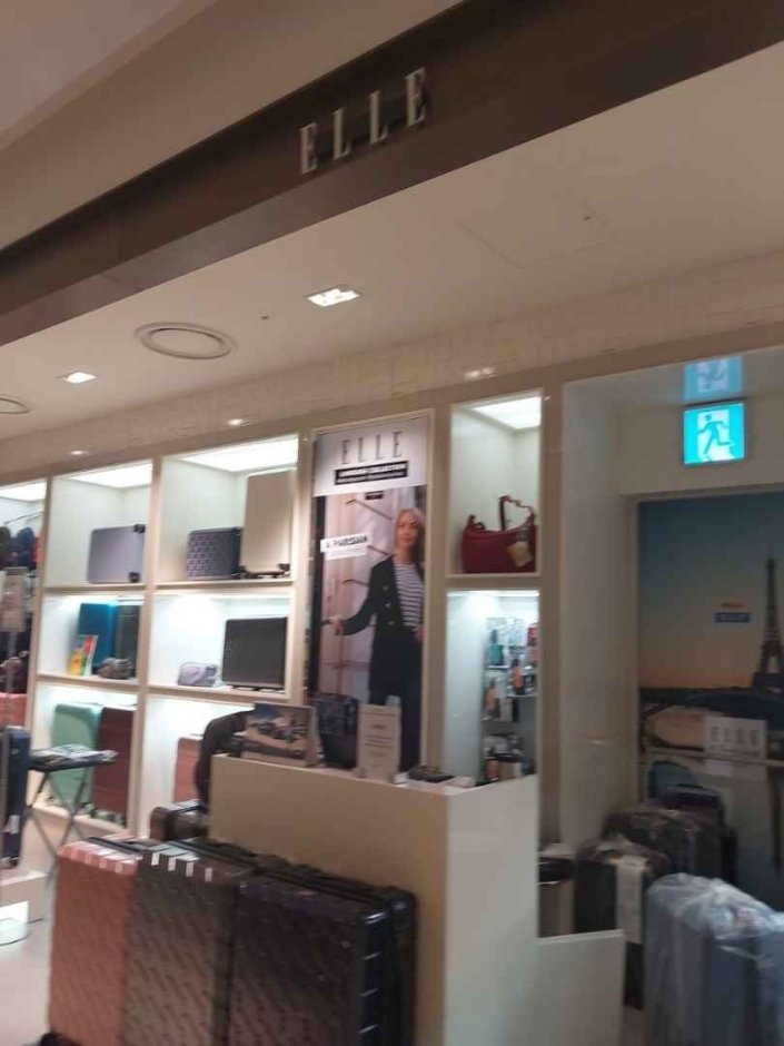 [Seoul] Elle [Tax Refund Shop] (엘르)