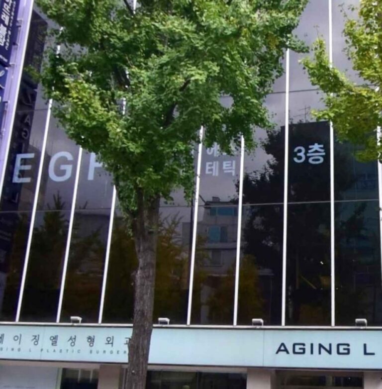 [Seoul] Aging L Plastic Surgery [Tax Refund Shop] (에이징엘성형외과의원)