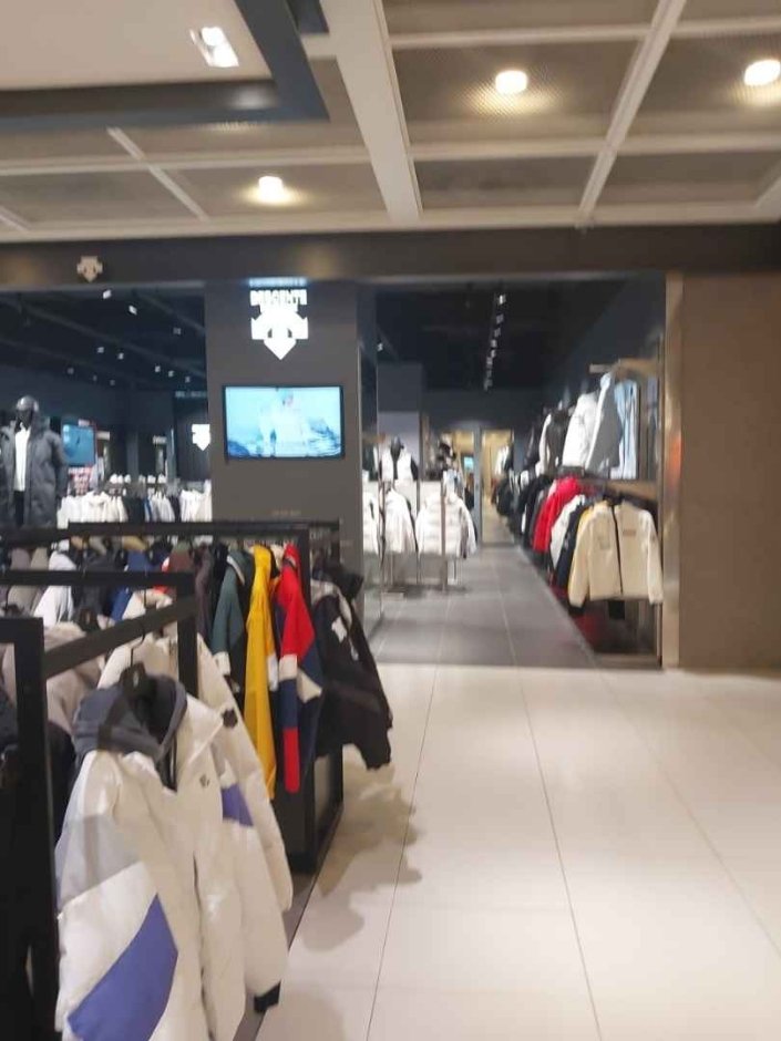 [Seoul] Descente [Tax Refund Shop] (데상트)