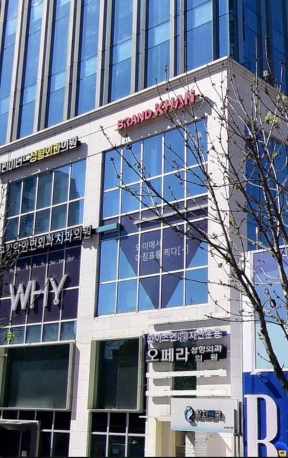 [Seoul] Opera Plastic Surgery [Tax Refund Shop] (오페라성형외과의원)