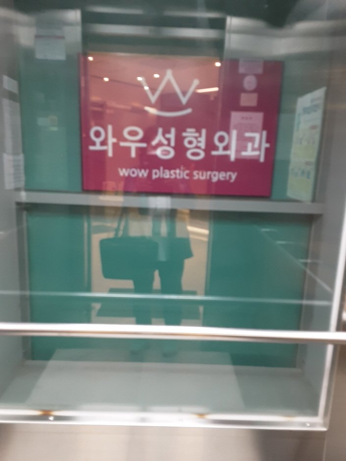 [Seoul] Wow Plastic Surgery [Tax Refund Shop] (와우성형외과)