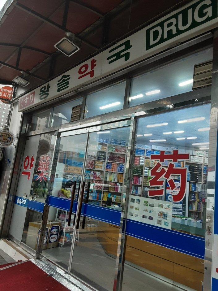 [Seoul] Wangsol Pharmacy [Tax Refund Shop] (왕솔약국)