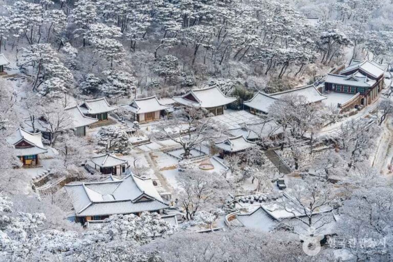 [Incheon] Ganghwa Jeondeungsa Temple (강화 전등사)