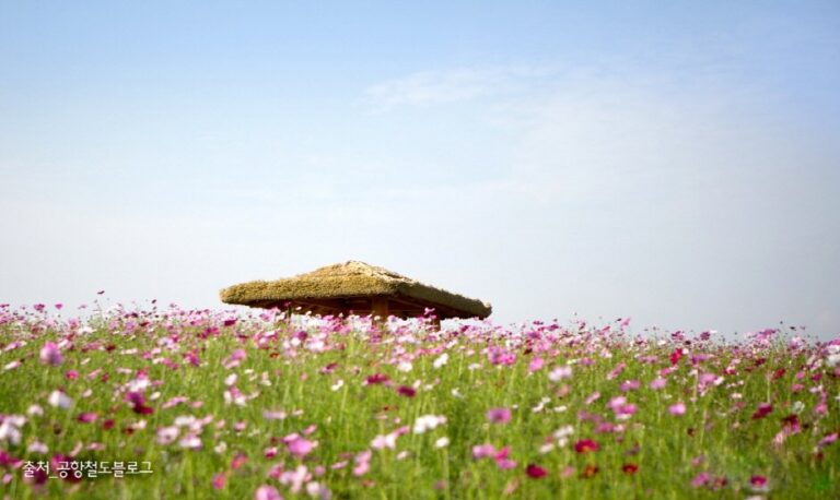 [Incheon] Sudokwon Landfill Site Wildflower Complex Dream Park (수도권 매립지 야생화단지 드림파크)