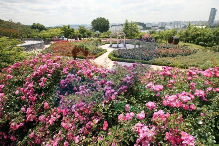[Incheon] Munhak Rose Park (장미공원)