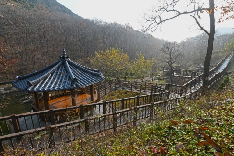 [Incheon] Seongmodo Island Arboretum (석모도 수목원)
