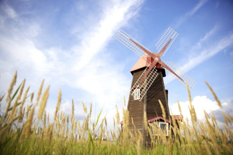 [Incheon] Sorae Marsh Ecological Park (소래습지생태공원)