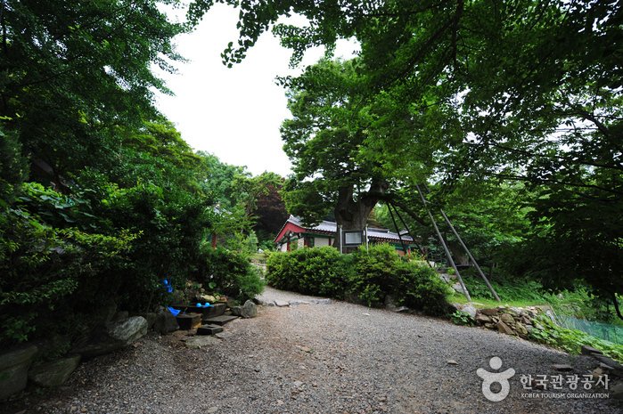 [Incheon] Incheon Yonggungsa Temple (용궁사 (인천))