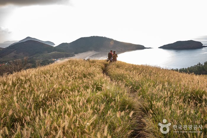 [Incheon] Gureopdo Island (굴업도)