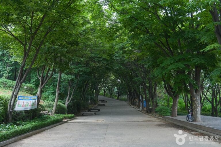 [Incheon] Gyeyangsan Mountain Trail (계양산둘레길)