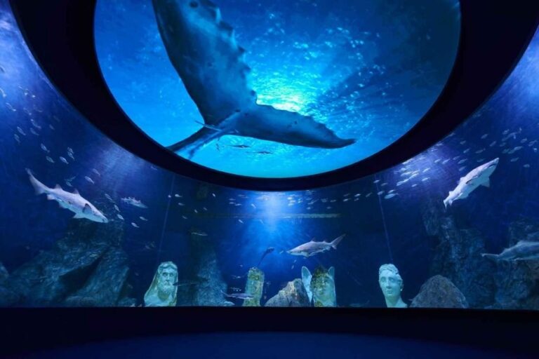 [Daejeon] Daejeon Expo Aquarium (대전 엑스포 아쿠아리움)