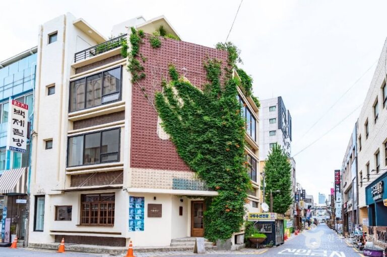 [Daejeon] Daeheung-dong Culture and Arts Street (대흥동 문화예술의거리)