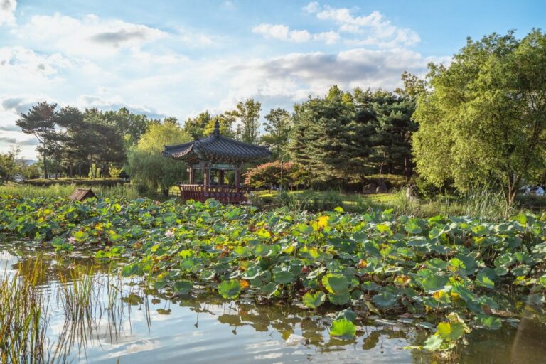 [Daejeon] Yurim Park (유림공원)