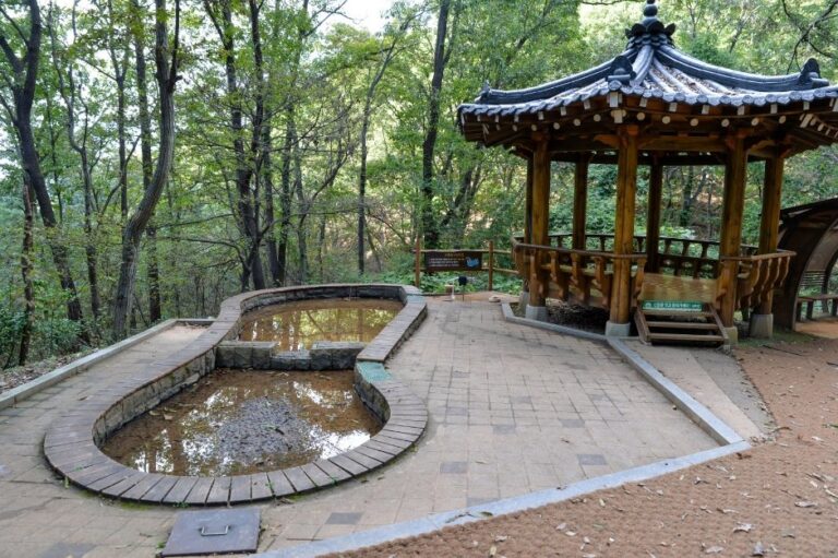 [Daejeon] Jangdong Forest Park (장동산림욕장)