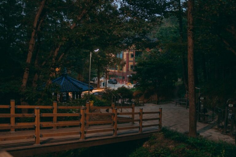 [Daejeon] Bomunsan Forest Trail (보문산 행복 숲 둘레길)