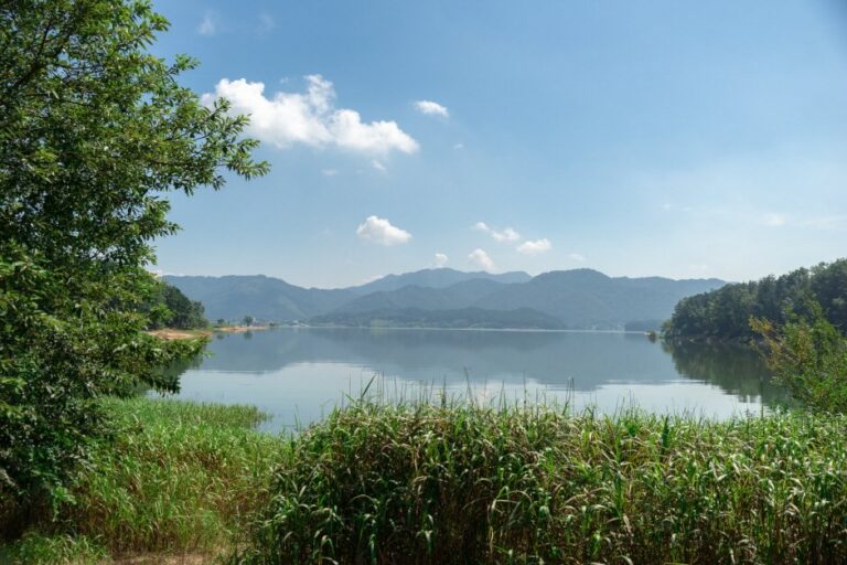 [Daejeon] Daecheongho Obaengni (500-ri) Road (대청호오백리길)