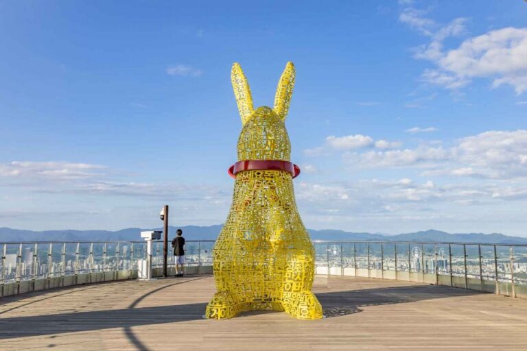 [Daegu] Apsan Cable Car (Apsan Observatory) (앞산 케이블카(앞산 전망대))