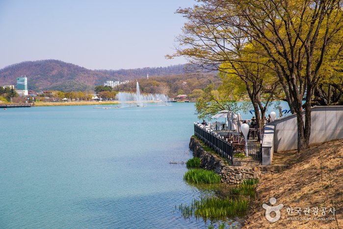 [Daegu] Suseongmot Lake Resort (수성못 유원지)