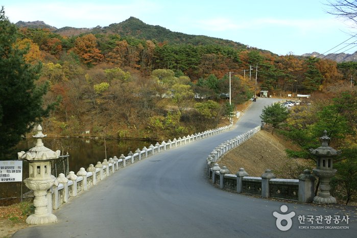 [Daegu] Palgongsan National Park (Donghwasa Temple District) (팔공산국립공원(동화사지구))