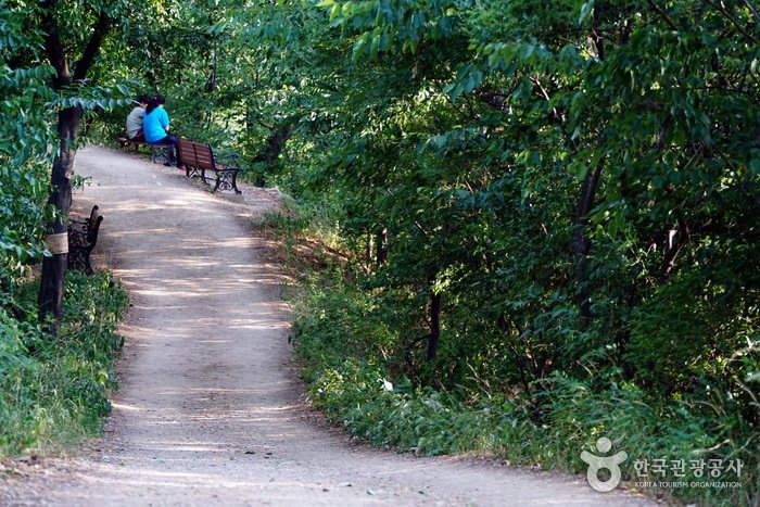[Daegu] Daegu Dalseong Park (대구 달성공원)