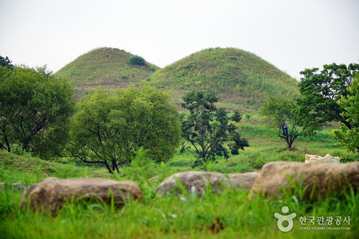 [Daegu] Ancient Tombs in Bullo-dong (대구 불로동 고분군)