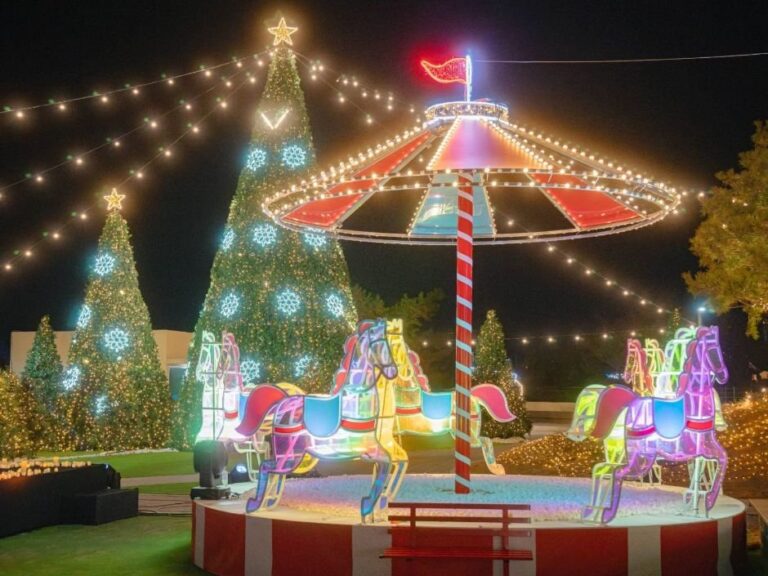 [Daegu] Apsan Christmas Festival (앞산크리스마스축제)