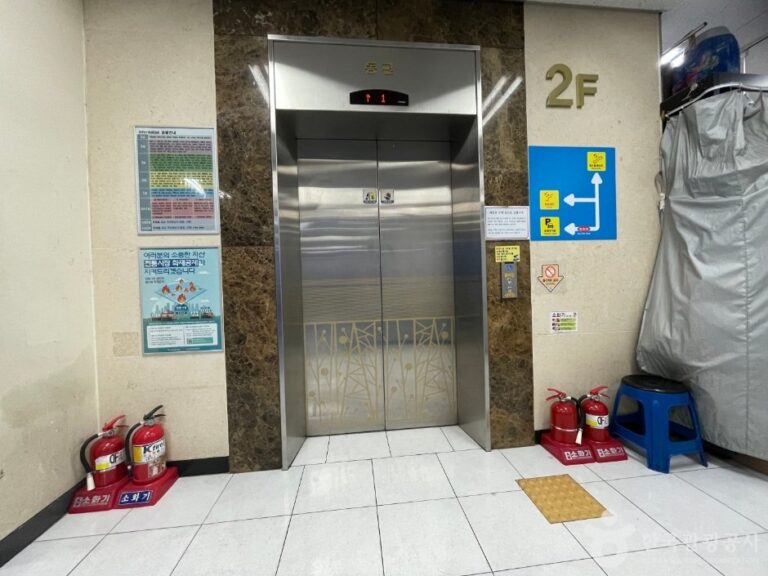 [Daegu] Daegu Seomun Market & Seomun Night Market (대구 서문시장 & 서문시장 야시장)