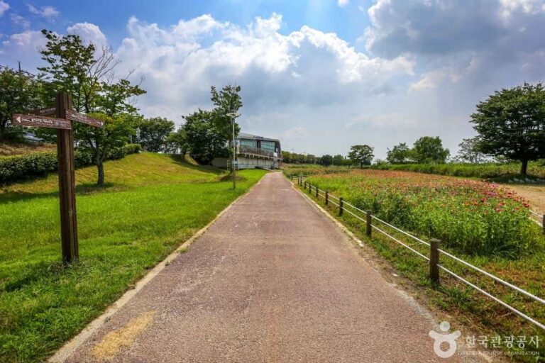 [Gwangju] Yeongsangang River Bike Road (영산강 자전거길)