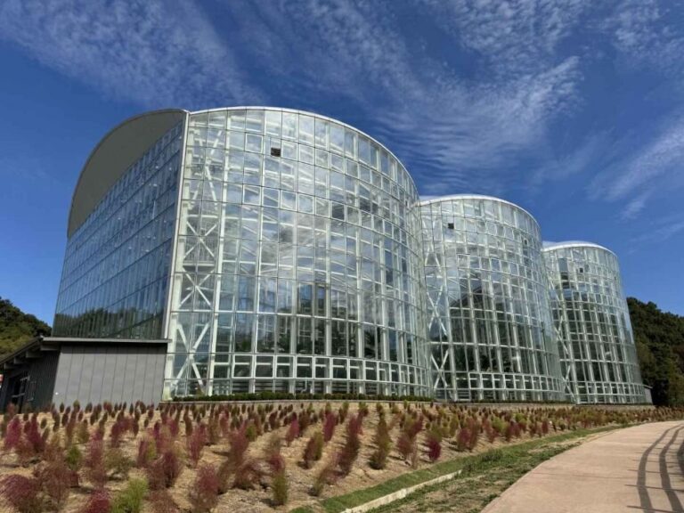 [Gwangju] Gwangju Arboretum (광주시립수목원)