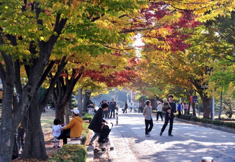 [Gwangju] Jungoe Park (중외공원)