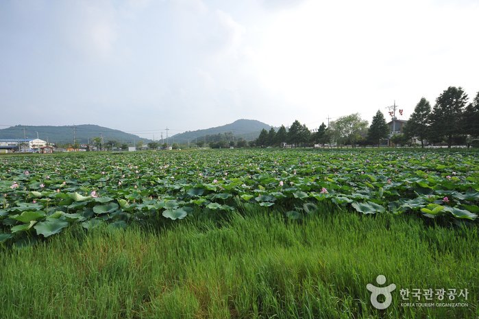 [Gwangju] Jeonpyeongje Reservoir (전평제)