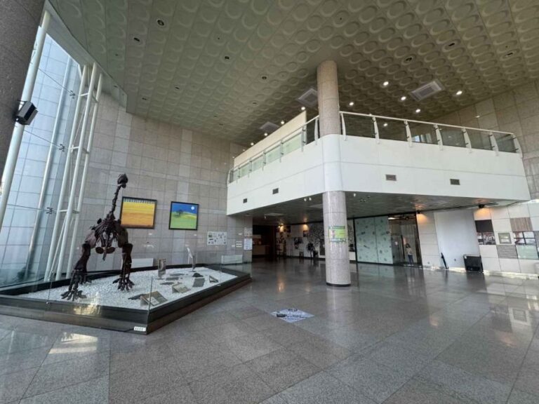 [Gwangju] Chonnam National University Museum (전남대학교 박물관)