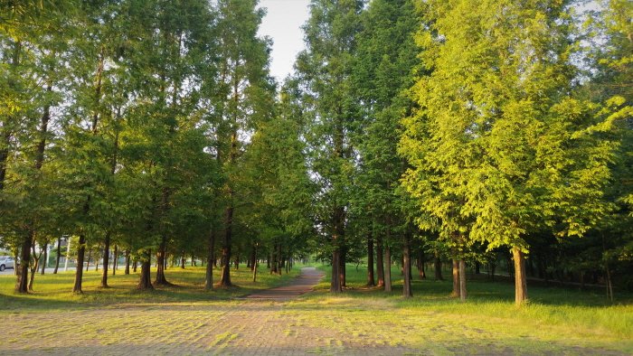 [Gwangju] Citizen’s Forest Campground (시민의 숲 야영장)