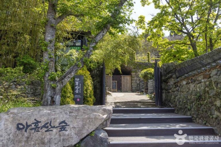 [Busan] Ahopsan Forest (아홉산숲)