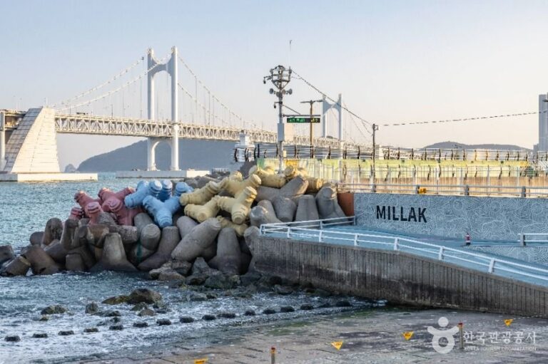[Busan] Millak Waterfront Park (민락수변공원)