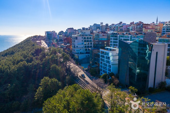 [Busan] Dalmaji Road (해운대 달맞이길)
