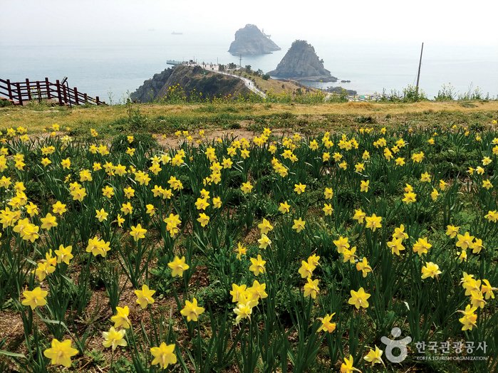 [Busan] Oryukdo Islets (Busan National Geopark) (오륙도 (부산 국가지질공원))