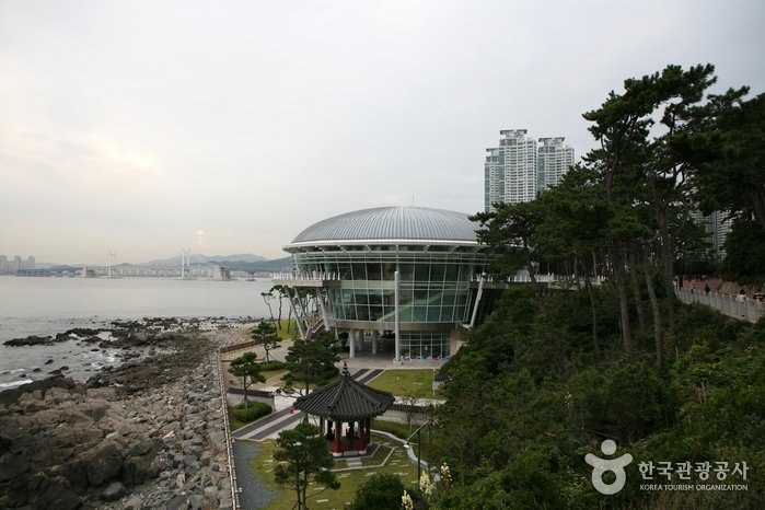 [Busan] Dongbaekseom Island (동백공원)